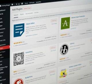 WordPress Plugins